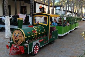 Trenino Lillipuziano - treno per feste- giostra- m