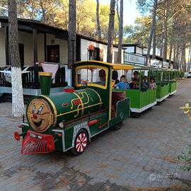 Trenino Lillipuziano - treno per feste- giostra- m
