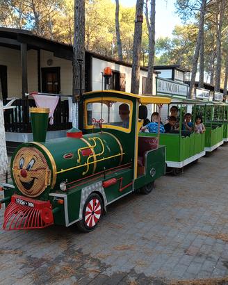 Trenino Lillipuziano - treno per feste- giostra- m