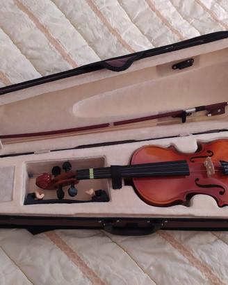 Violino