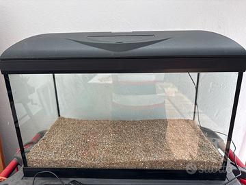 Acquario Wave Riviera Basic 60