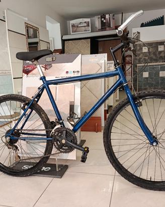 Mountain bike donna e uomo 