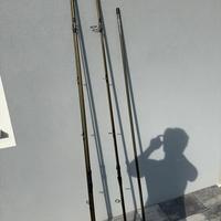 Canne carpfishing