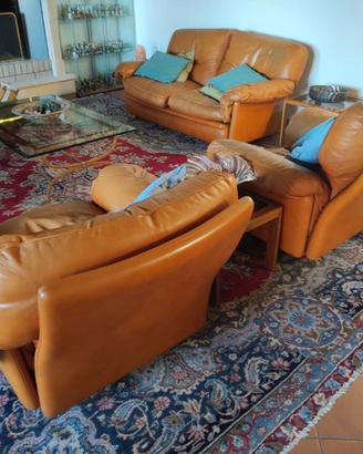 Coppia di poltrone+divano FRAU modello poppy
