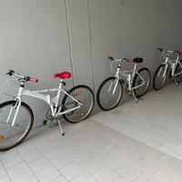 Bici da collezione