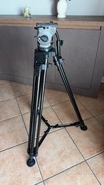 Trepiede testa fluida Cartoni Focus