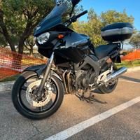 Yamaha TDM 900 Anno 2008
