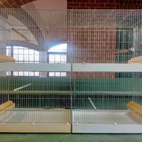 Gabbie in buono stato