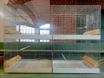 Gabbie in buono stato