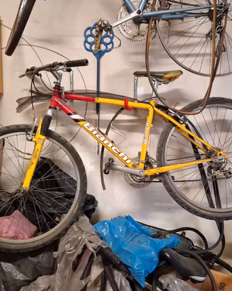 Bicicletta Bianchi