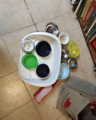 Ciotole cane e gatti