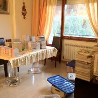 Varie serie manga: one piece, dragon ball, ecc