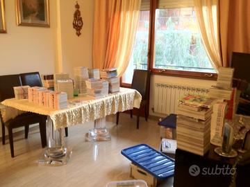 Varie serie manga: one piece, dragon ball, ecc