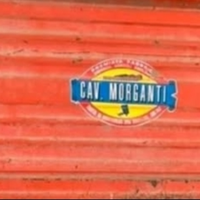 Rimorchio agricolo Cav.Morganti