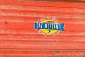 Rimorchio agricolo Cav.Morganti