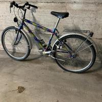 bicicletta 