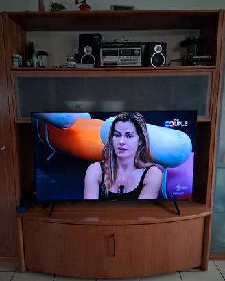 TV hdmi hisense 55 pollici 