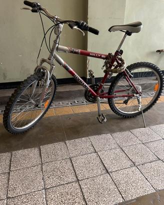 MTB  Dynamic Hilly 24