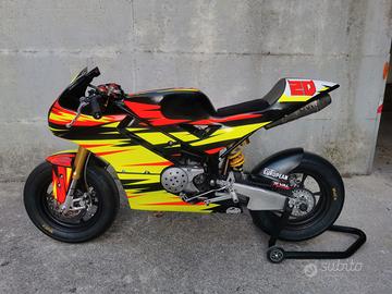Bucci br12gp 2024