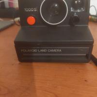 polaroid 1000s