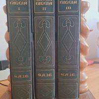 La sacra bibbia S.A.I.E.