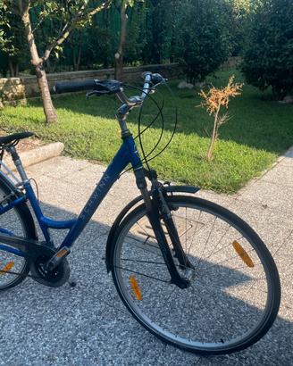 Bicicletta donna modello Schinn