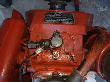 motozappa diesel 