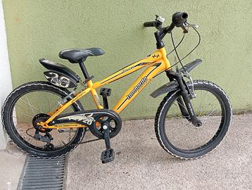 bicicletta