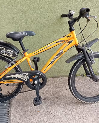 bicicletta