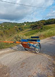 carrozzino completo di armici