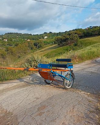 carrozzino completo di armici
