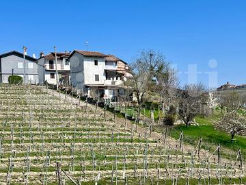 Terratetto Novello [Rif. 26011VRG]