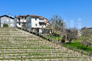 Terratetto Novello [Rif. 26011VRG]