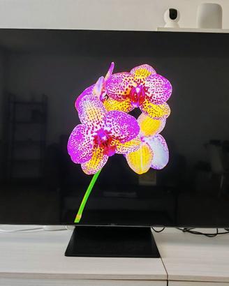 TV TCL 65" MiniLED (mod. 65C809)