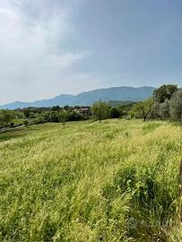 Terreno di 6000 mq