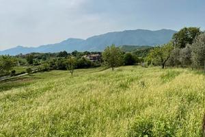 Terreno di 6000 mq