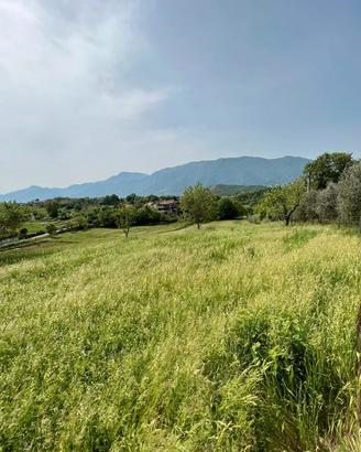 Terreno di 6000 mq