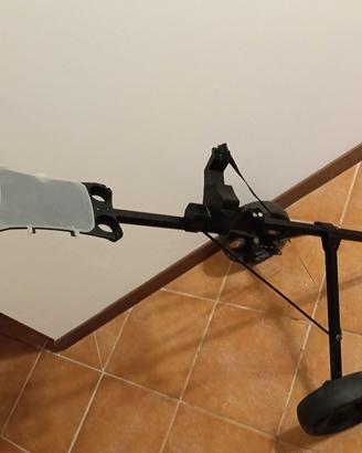 Carrello Golf