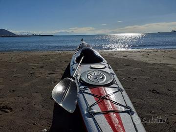 kayak X51 carbon/kevlar