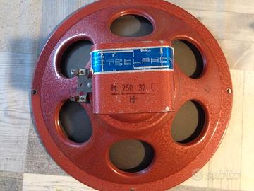 Altoparlanti Electronic Melody M250 32 C HF Alnico