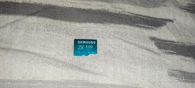 memoria micro SD Samsung evo 256gb