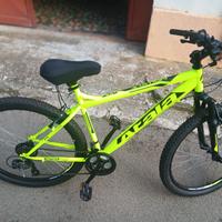 Montain bike  misura 27,5
