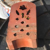 Mattoni in cotto vintage per aiuole giardino