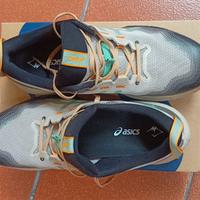 Asics trail trabuco 12