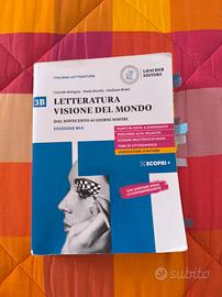 Letteratura Visione del mondo 3B