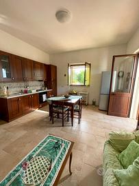 Tenuta Palummaro