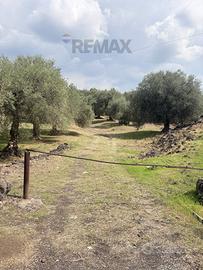 Terreno - Ragalna