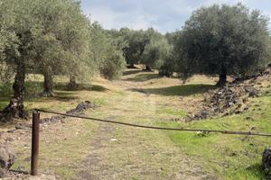 Terreno - Ragalna