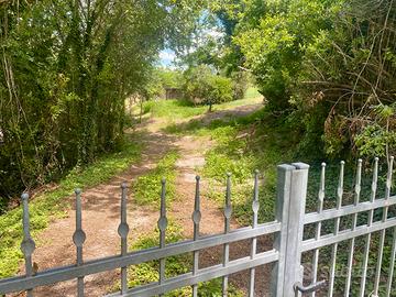 Terreno agricolo mq 5000