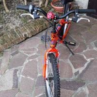 Bicicletta